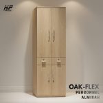 Horizon Premium Personnel Almirah- OAK-FLEX - Image 4