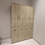 Horizon Premium Personnel Almirah- OAK-FLEX - Image 2