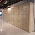 Horizon Premium Locker File Cabinet - SENTINEL - Image 2