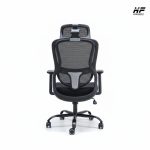 Horizon Premium Imported Orthopedic Ergonomic Chair- ErgoEase - Image 5